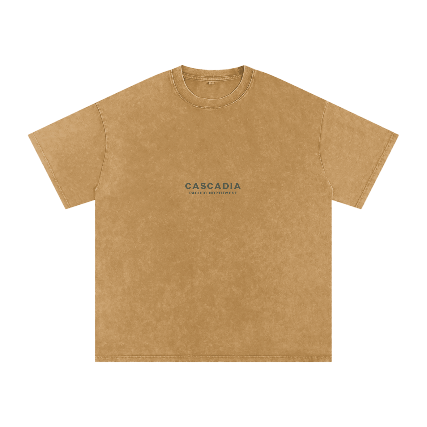 Vintage Cascadia Pacific Northwest Snow Washed Tee