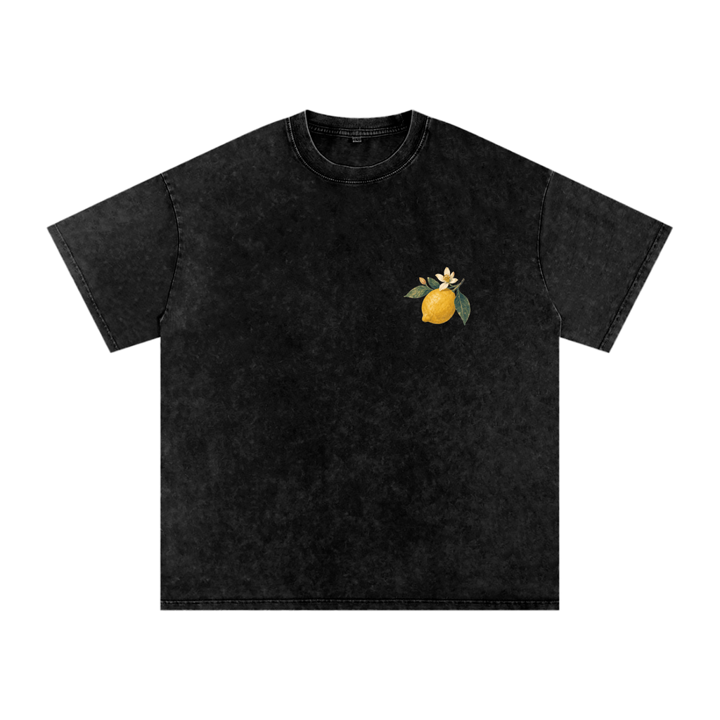 Vintage Limonade des Alpes Snow Washed Tee
